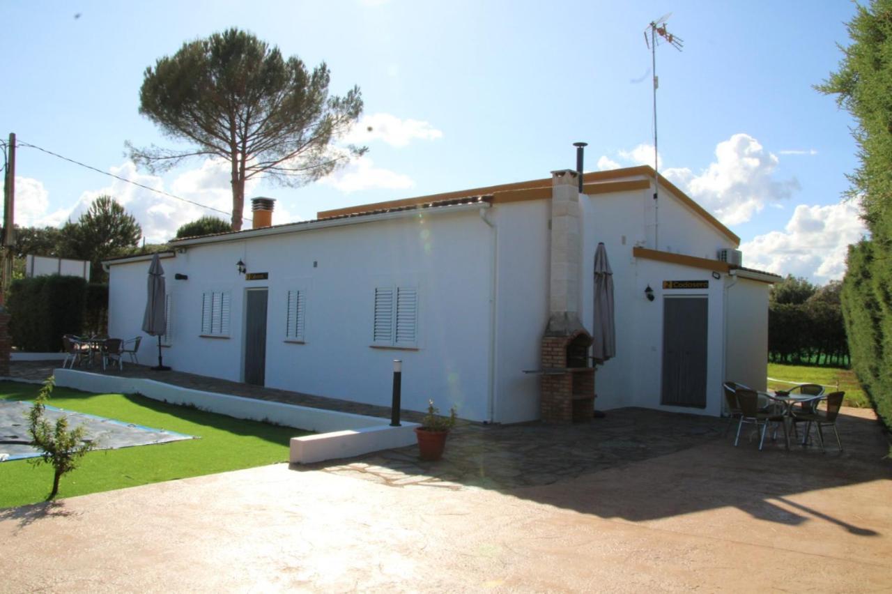 Alojamientos Rurales La Codosera Exterior foto